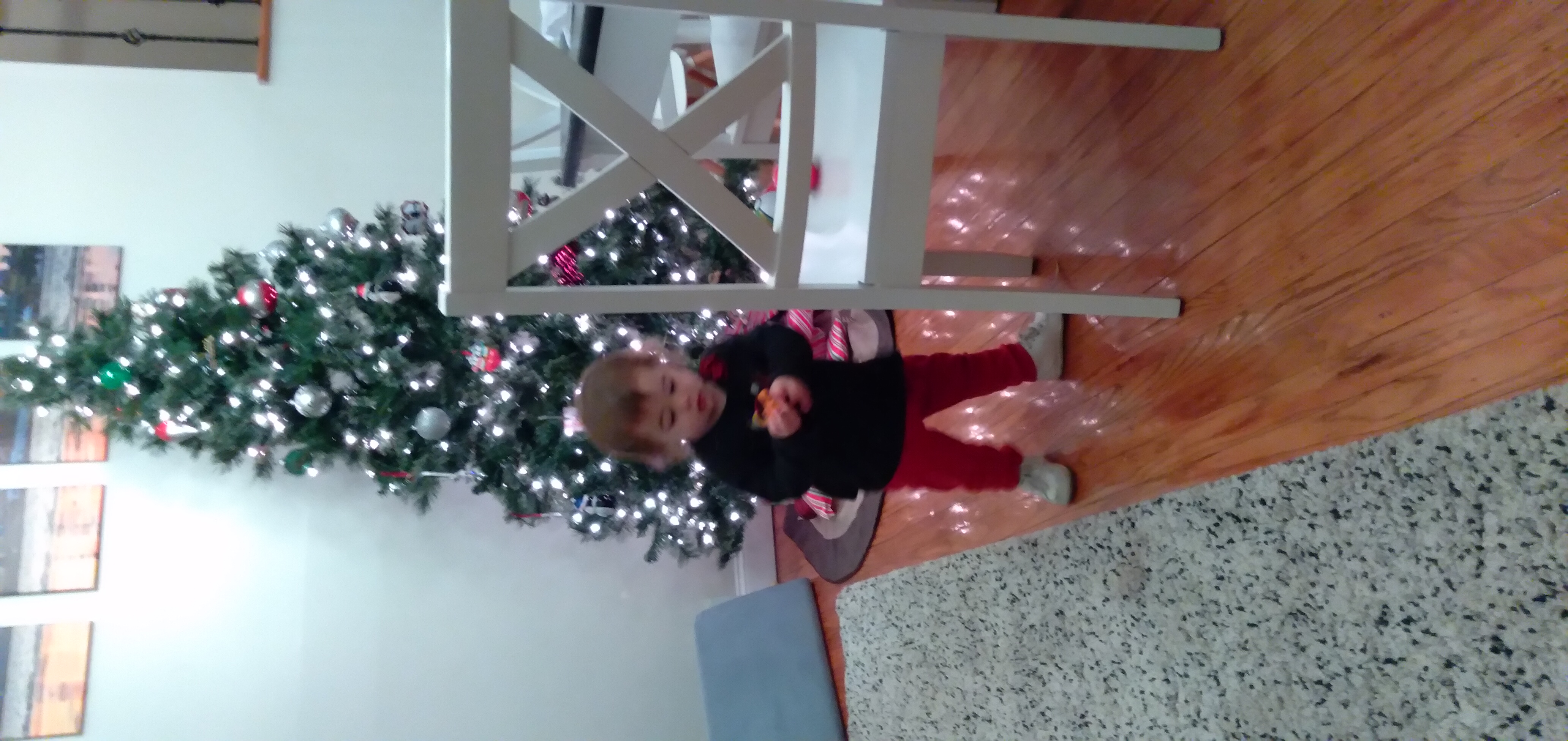 Aurora and Her Christmas Tree