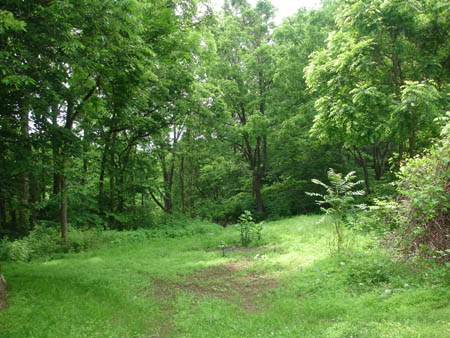 Montgomery County, PA Real Estate