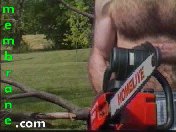 A Chainsaw Cuts it Down to Size