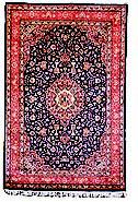 Navy Red Kashan Carpet